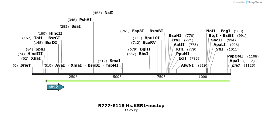 132429_map