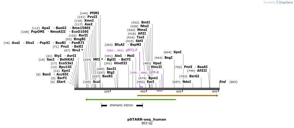 132430_map