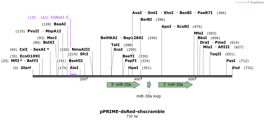 132431_map
