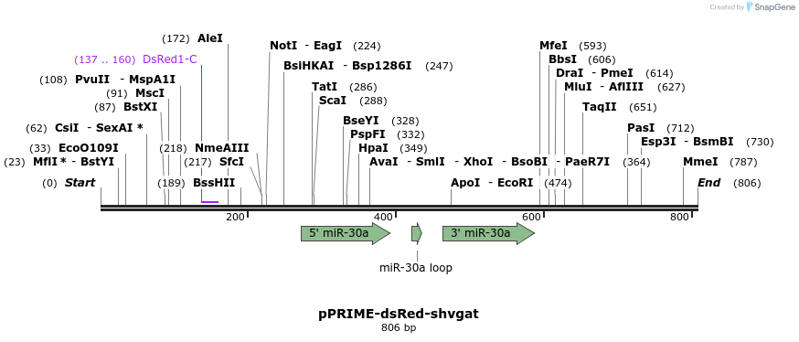 132434_map