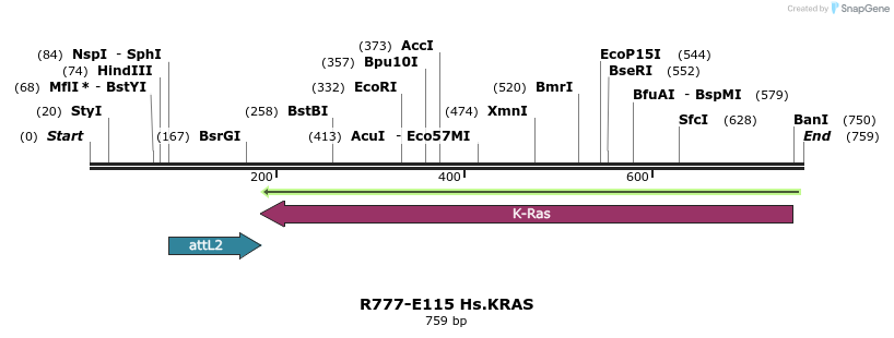 132435_map