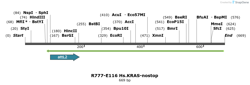 132436_map