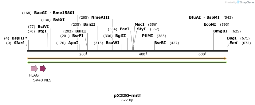 132438_map