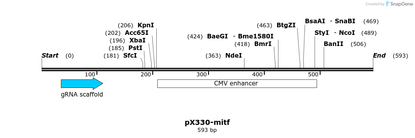 132439_map