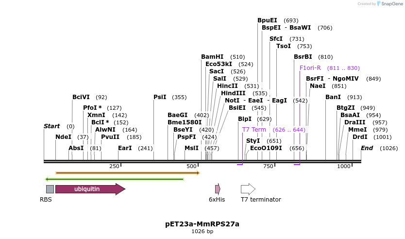 132444_map
