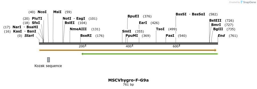132449_map