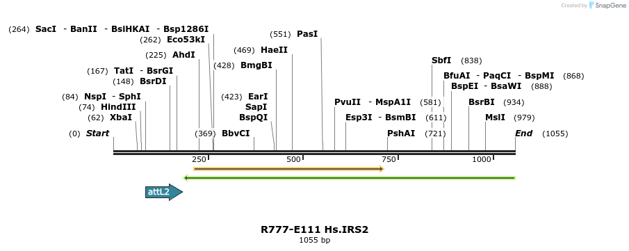 132450_map