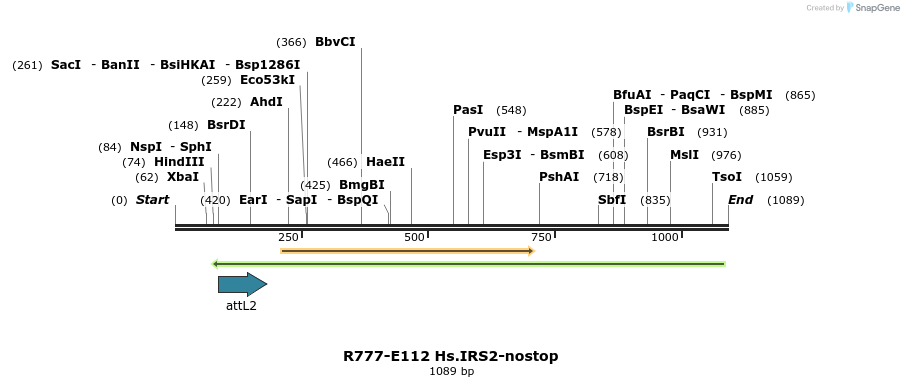 132452_map