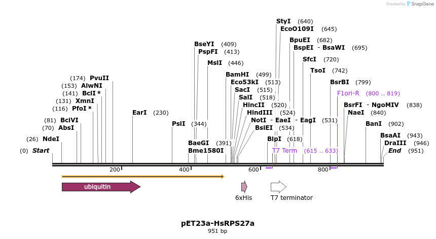 132454_map
