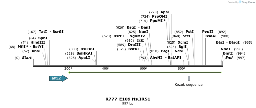 132455_map