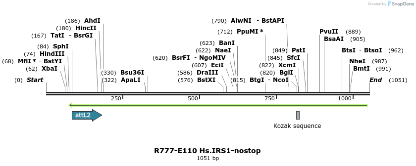 132456_map