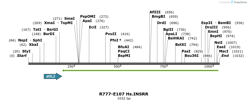 132457_map