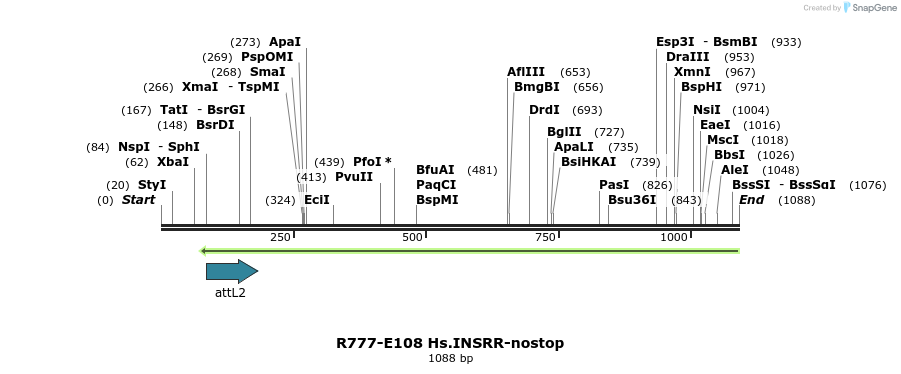 132460_map