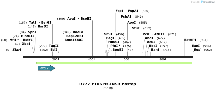 132466_map