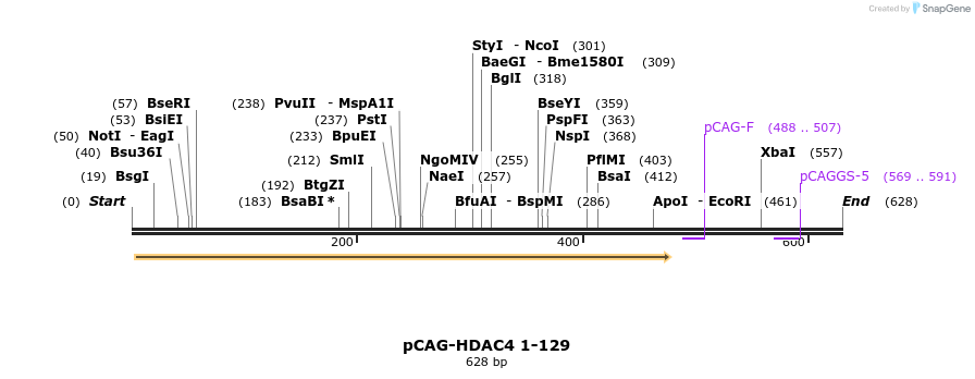 132467_map