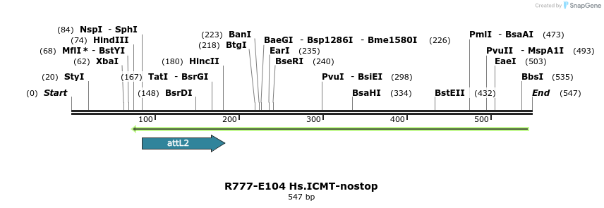 132468_map