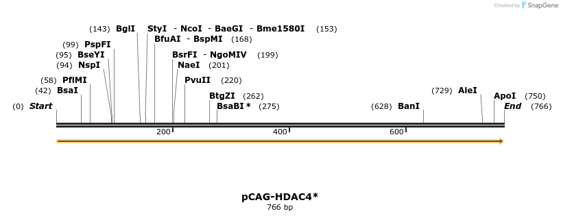 132469_map