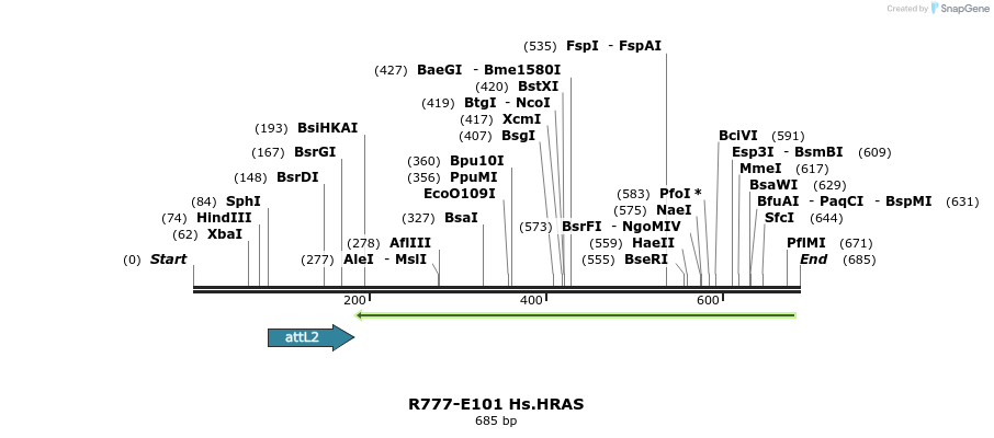 132470_map