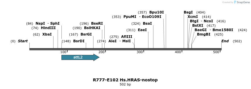 132471_map