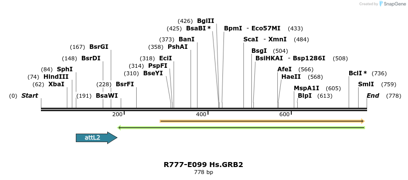132472_map