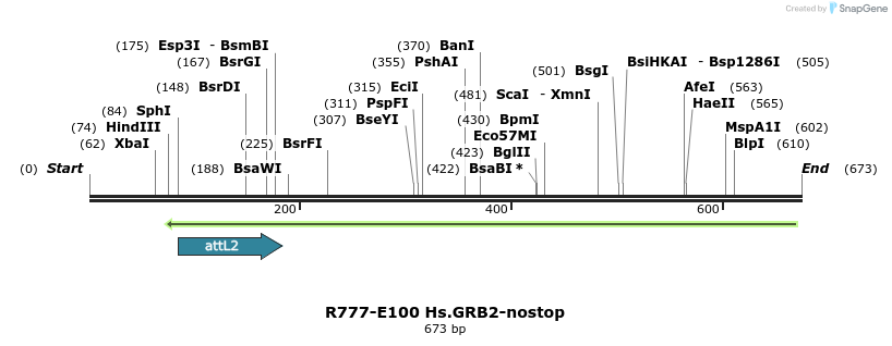 132474_map