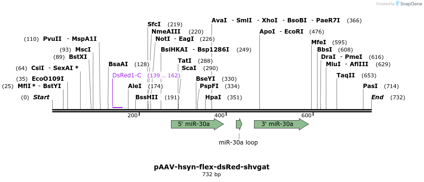 132479_map