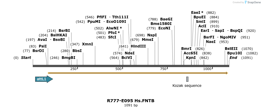 132488_map