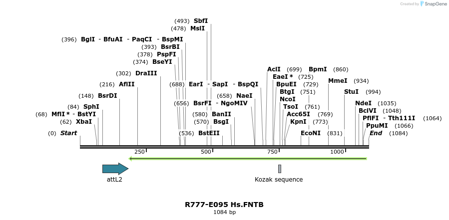 132489_map