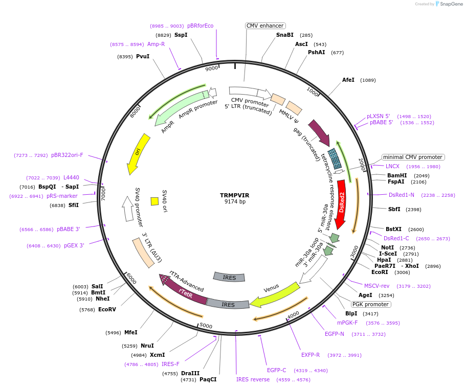 13249_map