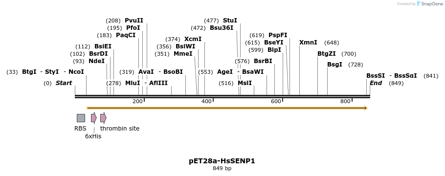 132490_map