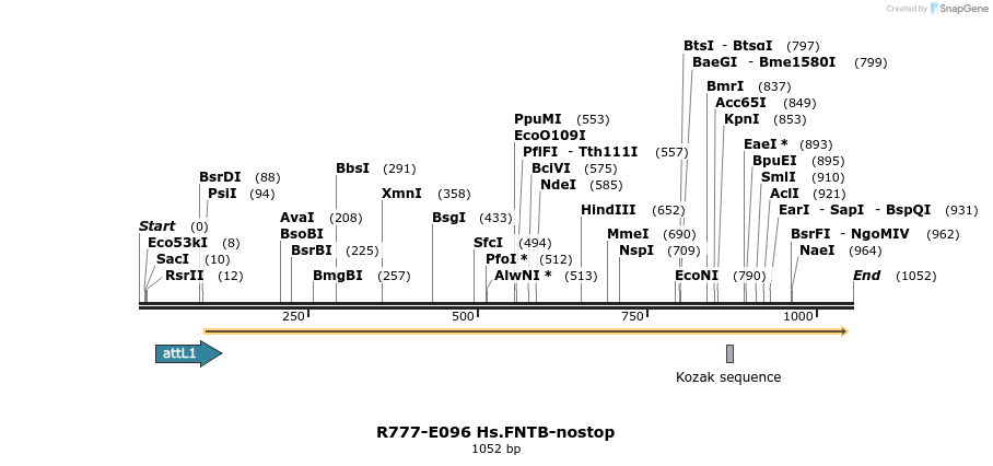 132494_map