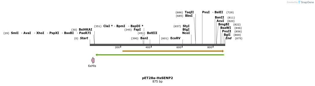 132496_map