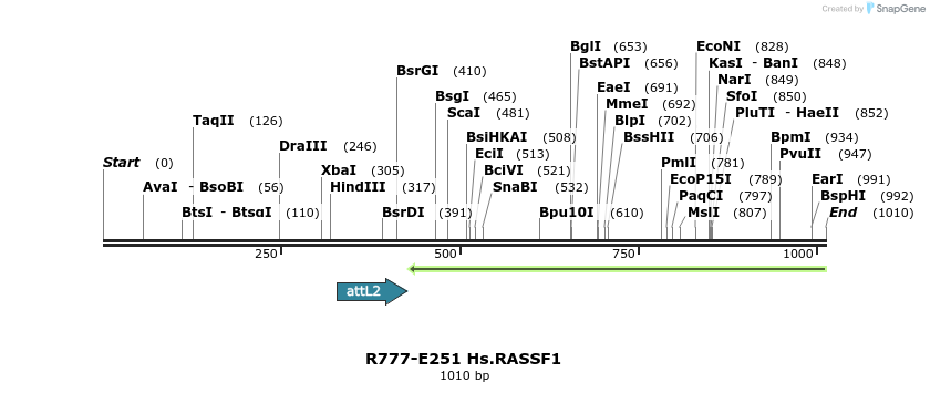 132497_map