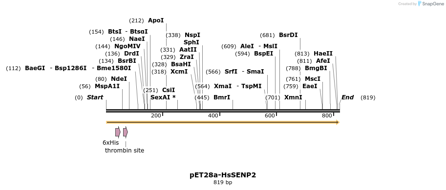 132498_map
