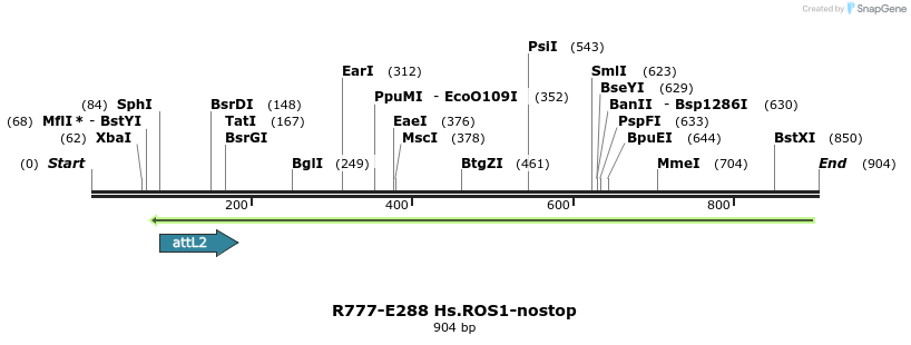 132499_map