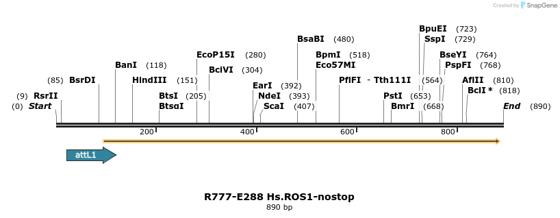 132500_map