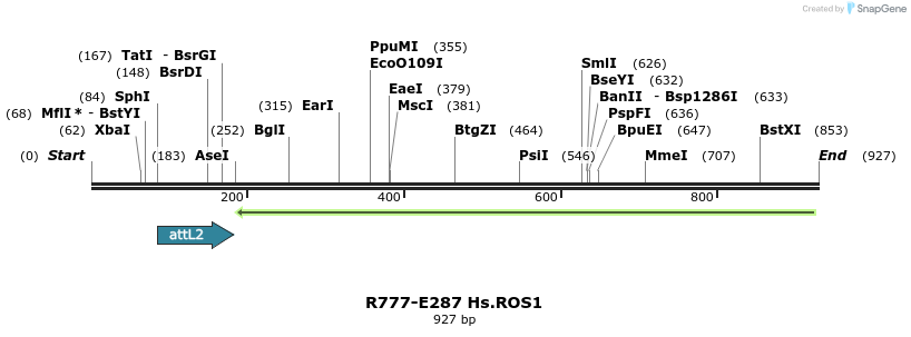 132502_map