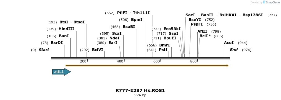 132503_map