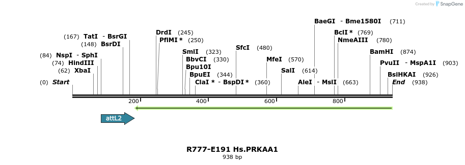 132505_map