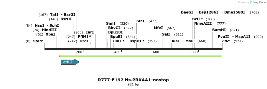 132506_map