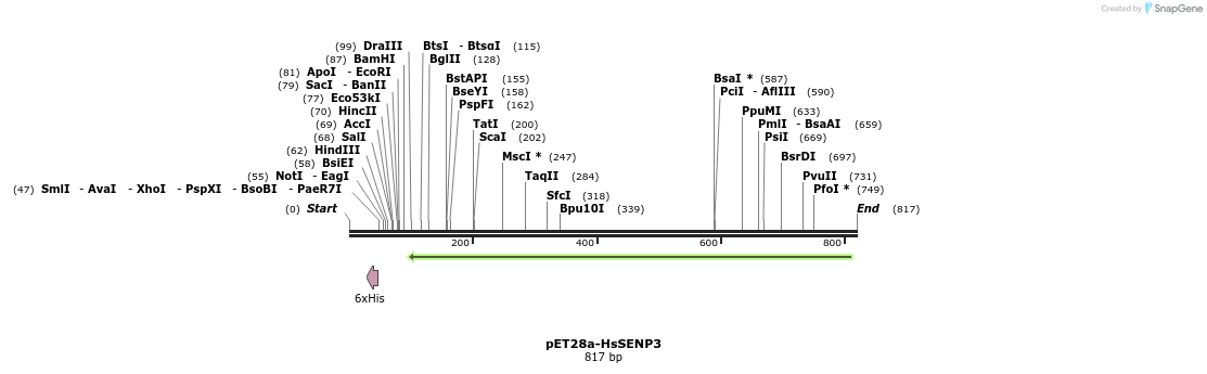 132512_map