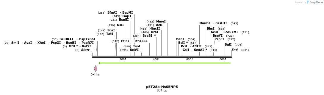 132513_map