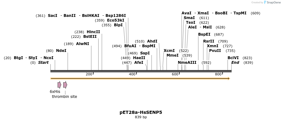 132514_map