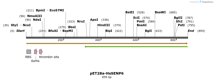 132515_map