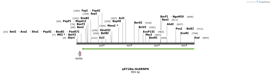 132517_map