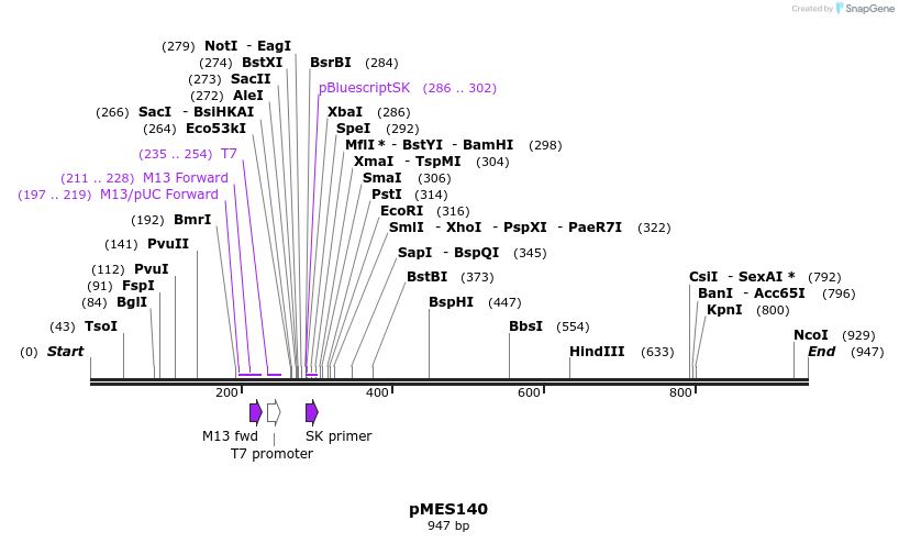 132520_map