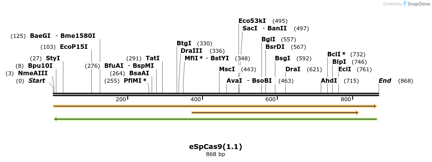 132529_map
