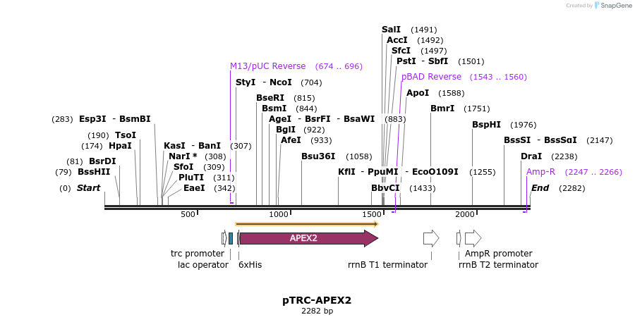 132531_map
