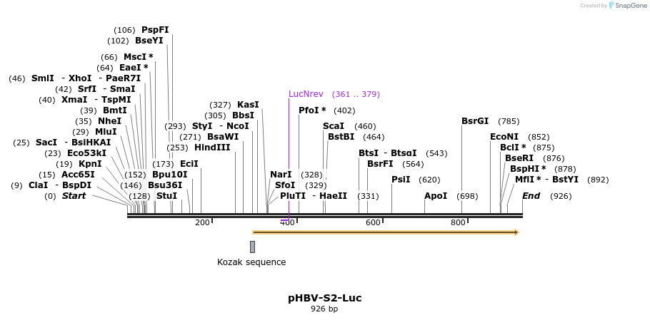 132553_map