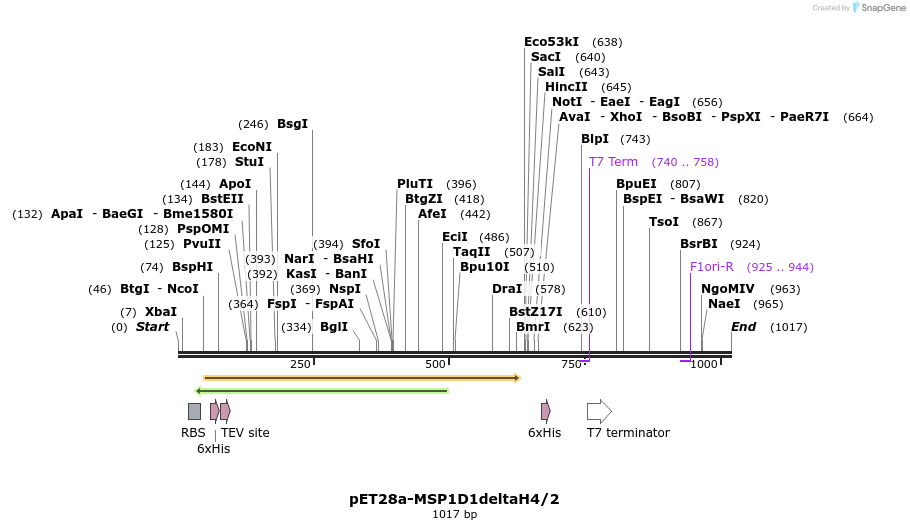 132555_map